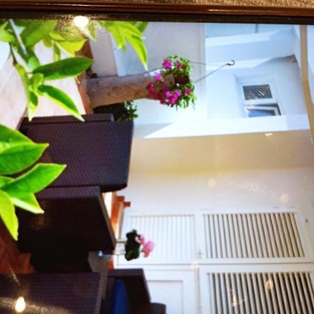 Apartmani Trubi 1 Водице Екстер'єр фото